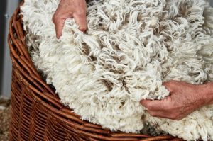 Virgin Wool in basket