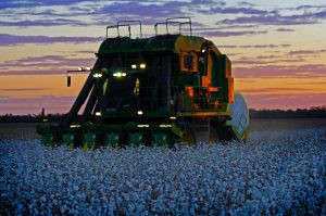 Cotton picker