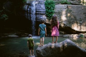 Gather and Moss
