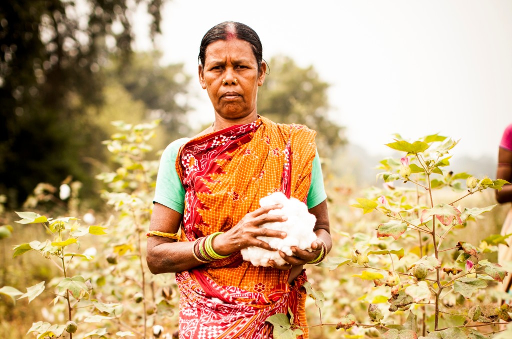 Fairtrade Cotton Farming in India