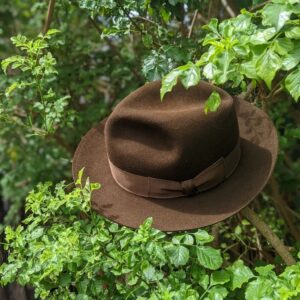 A brown felt hat against a leafy green backdrop